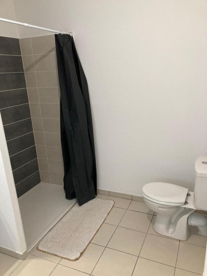 Appartement Meuble Тулуза Екстер'єр фото